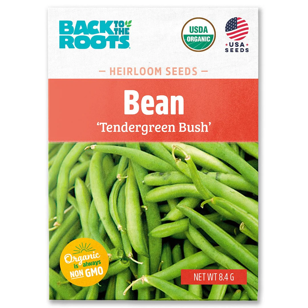 Organic Bean Seeds — 'Tendergreen Bush'