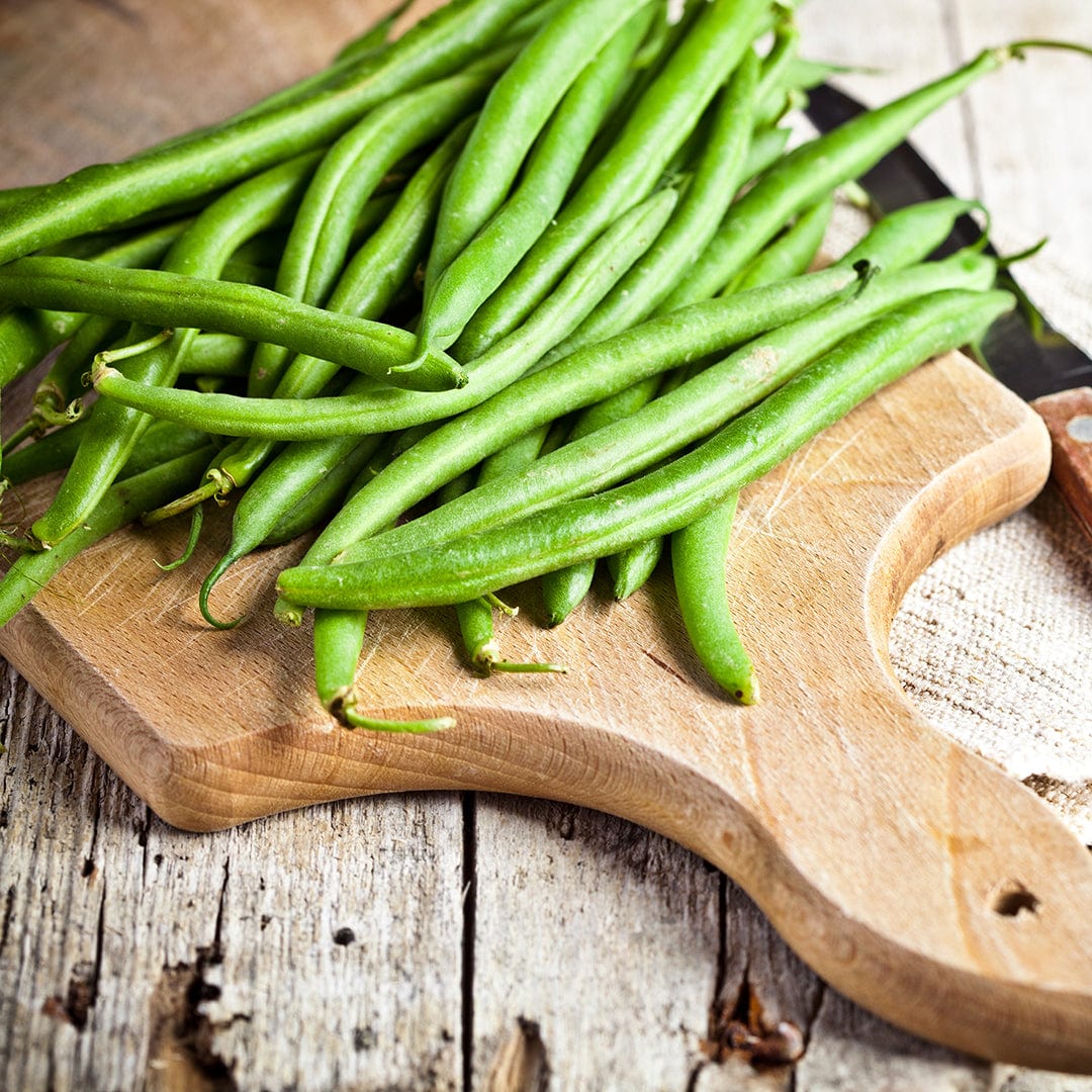 Organic Bean Seeds — 'Tendergreen Bush' - Image 6