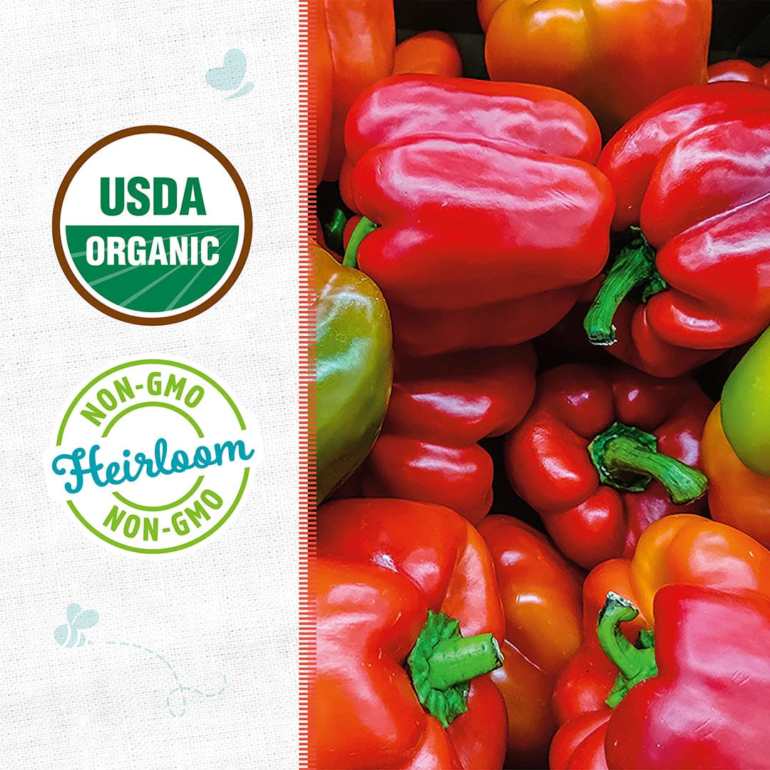 Organic Bell Pepper Seeds — 'Keystone Giant' - Image 2