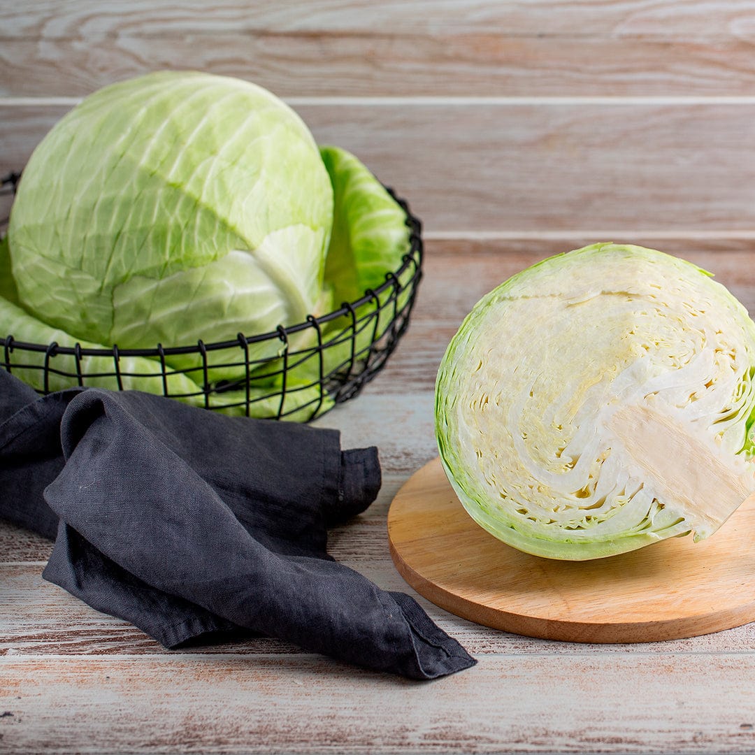 Organic Cabbage Seeds — 'Golden Acre' - Image 6