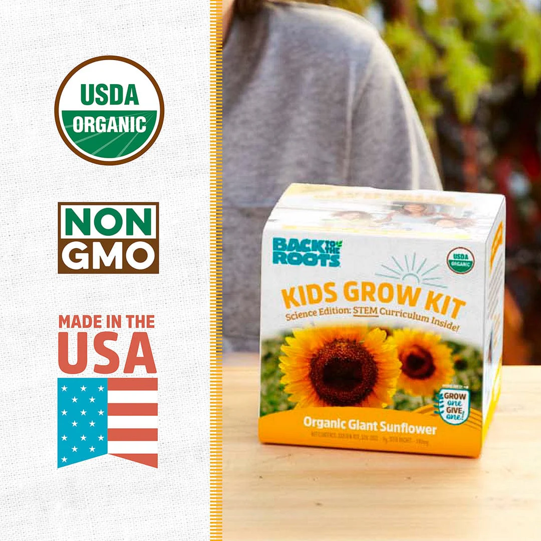 Kids Grow Kit 4-Pack Bundle: Terrarium and 3 Science Grow Kits 🎁 - Image 5