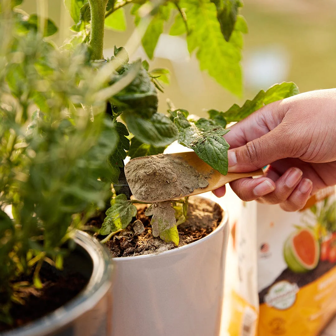 Natural & Organic EDIBLES Plant Food - Image 8