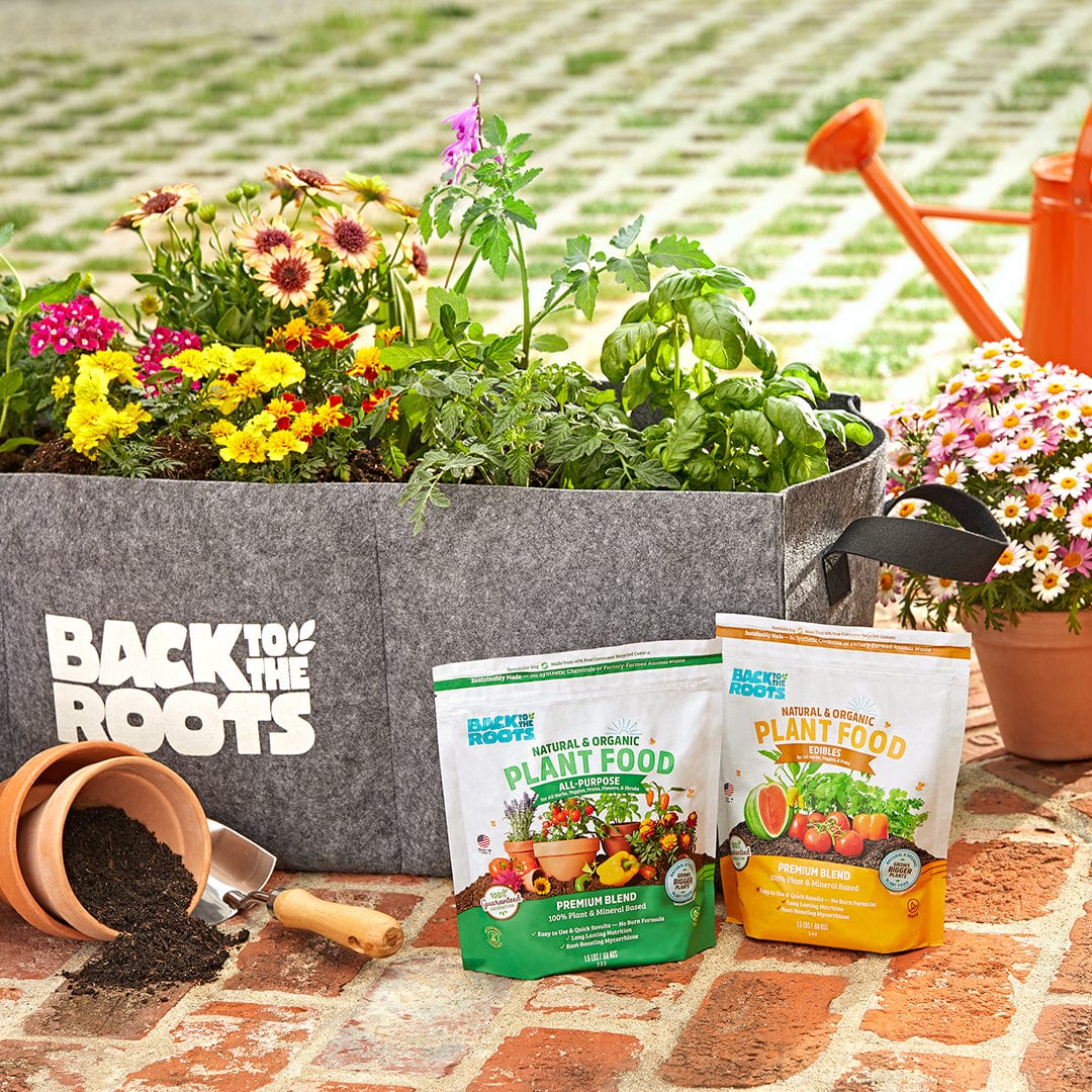 Natural & Organic EDIBLES Plant Food - Image 9