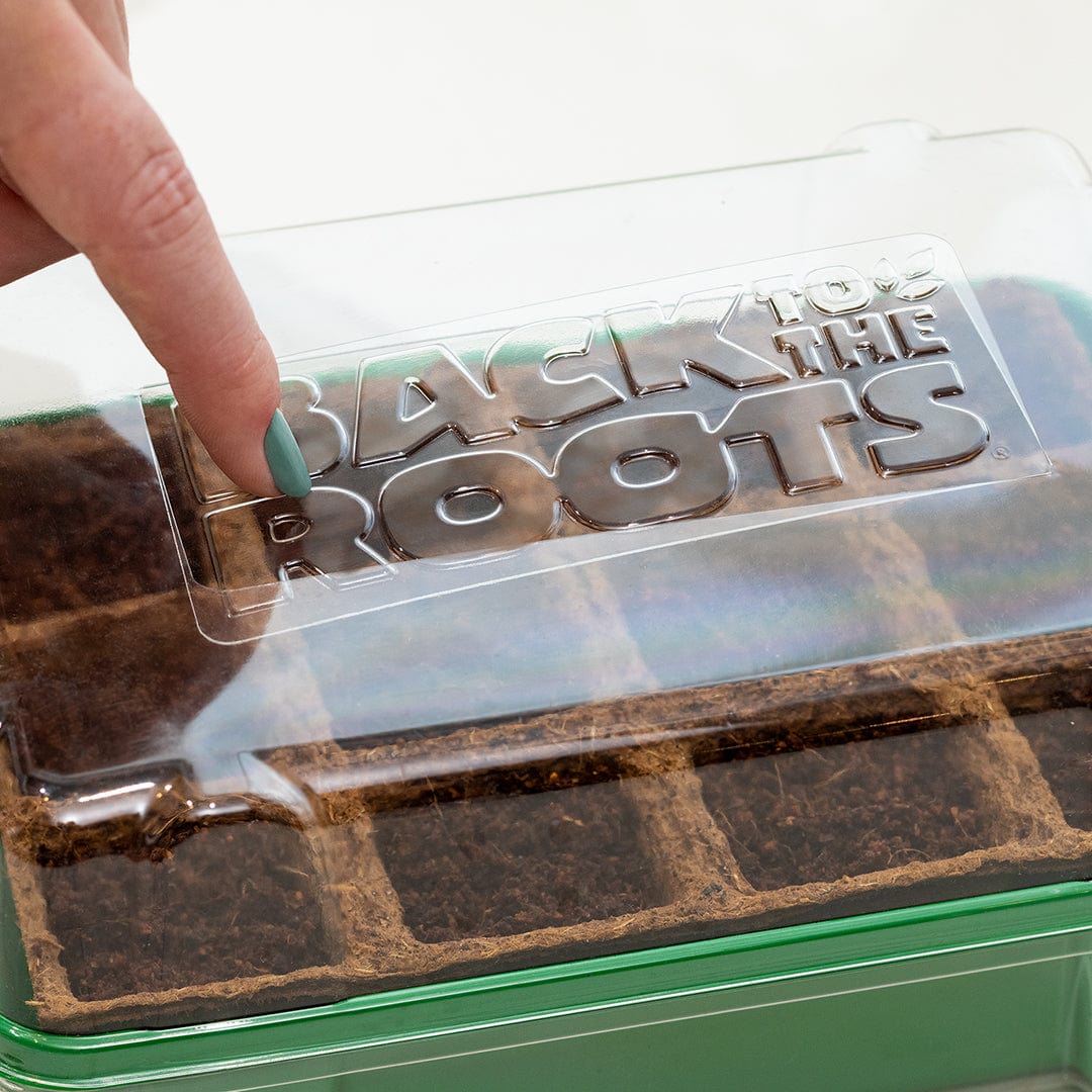Greenhouse Germination Refill Kit - Image 5