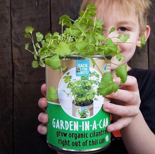 The Indoor Gardening Essentials - Herb, Veggies and Mushrooms 6-Plant Bundle (Save $20) - Image 9