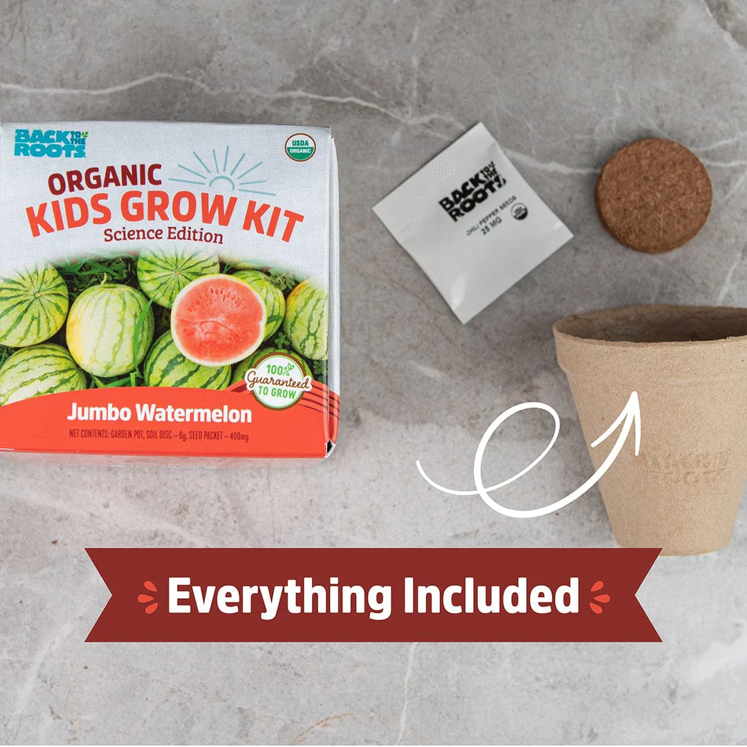 Kids Science Grow Kit Variety 3pk - Image 4