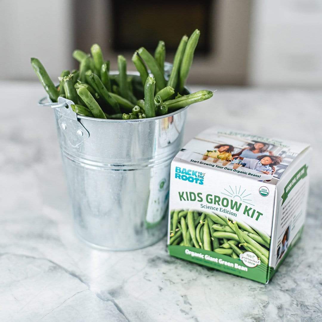 Kids Science Grow Kit Variety 3pk - Image 7