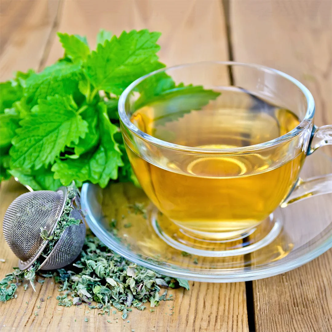 Organic Lemon Balm Seeds - Image 7