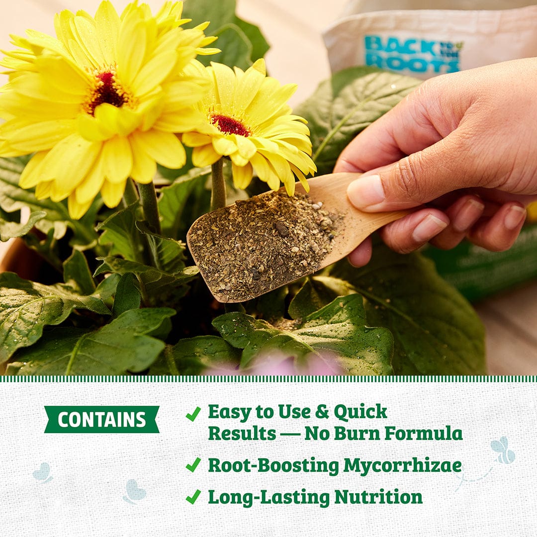 Natural & Organic ALL-PURPOSE Plant Food - Image 4