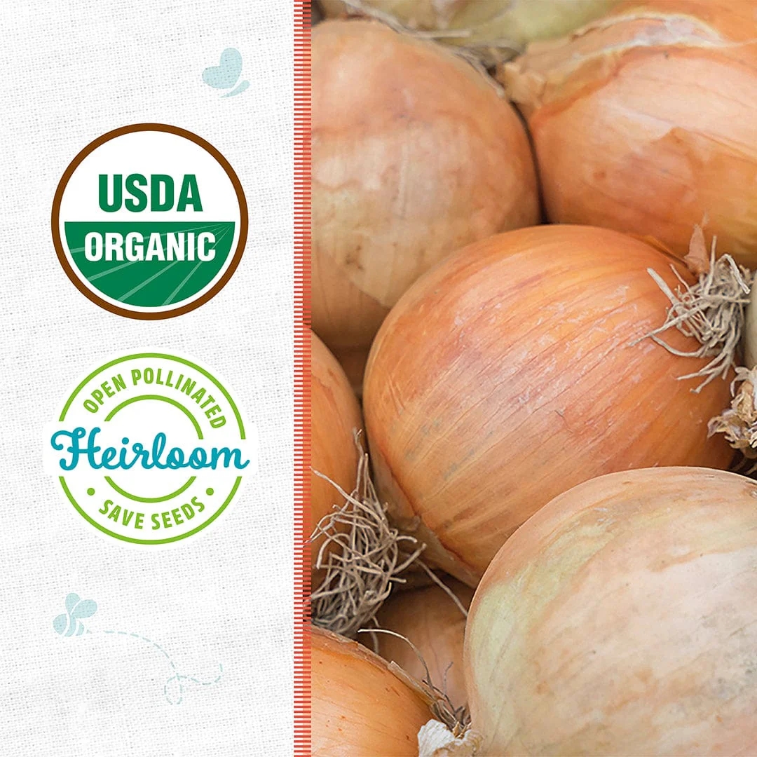 Organic Onion Seeds — 'Yellow Spanish Utah' - Image 2