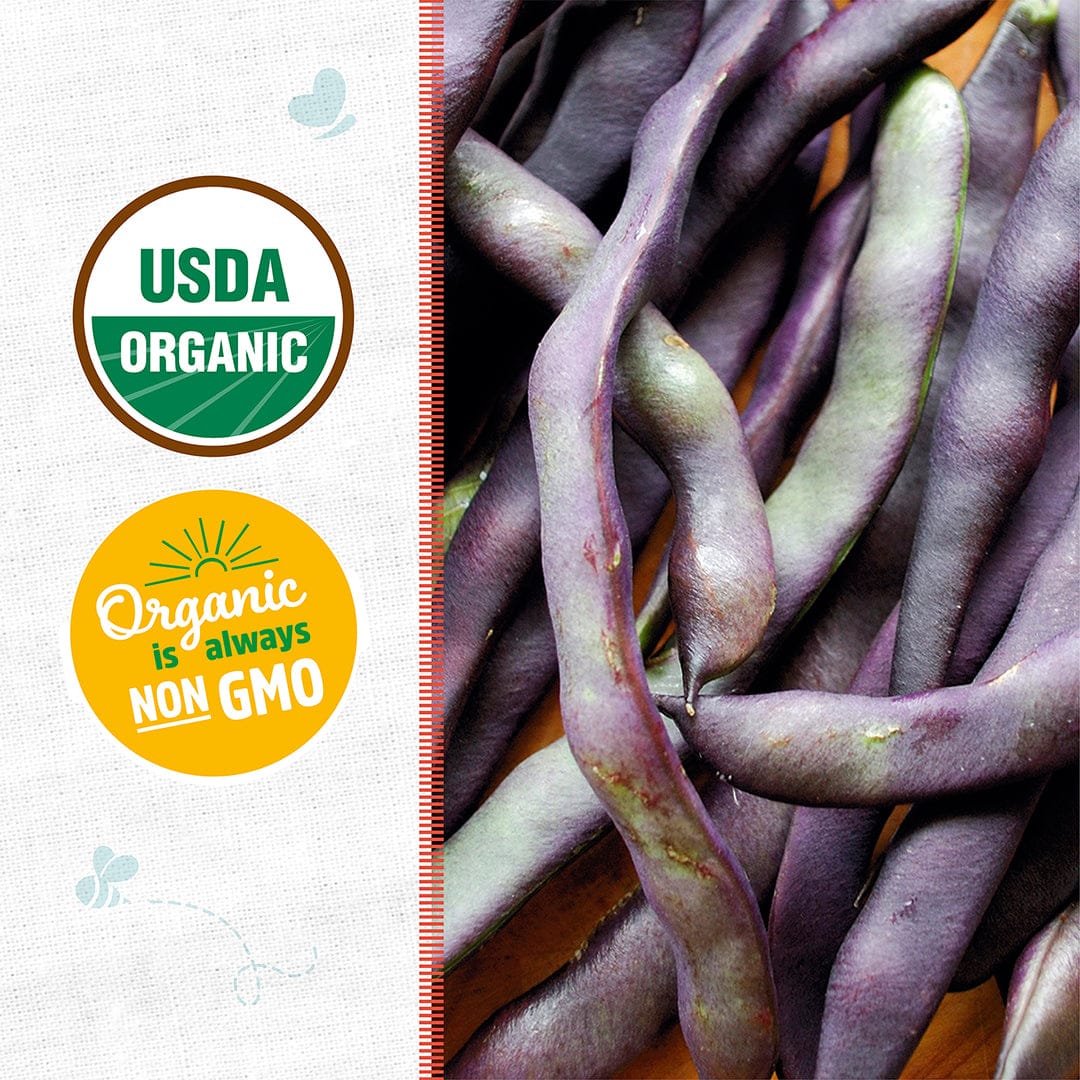 Organic Bean Seeds — 'Royalty Purple Pod' - Image 2