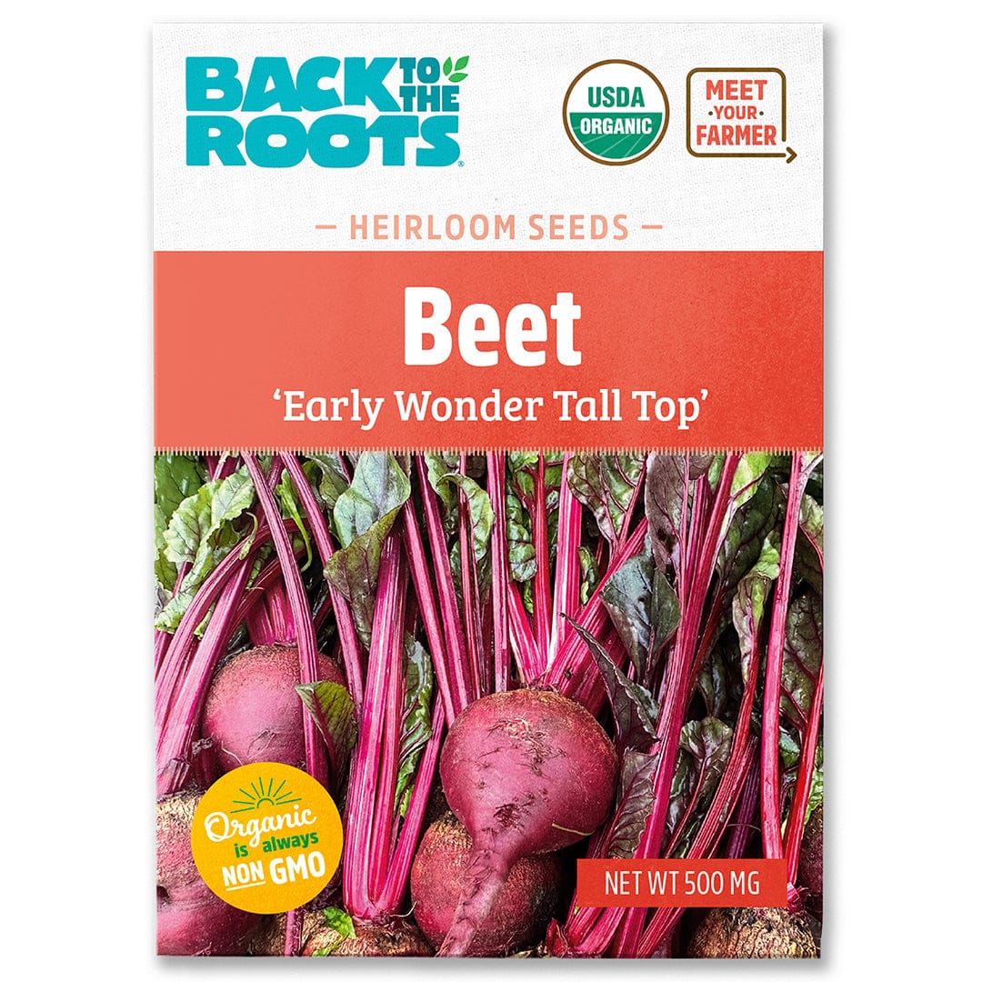 Organic Beet Seeds — 'Early Wonder Tall Top'