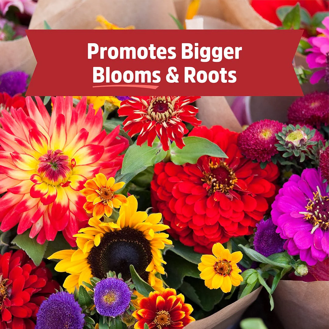 Organic Bone Meal with Gypsum (3lb) - Image 7