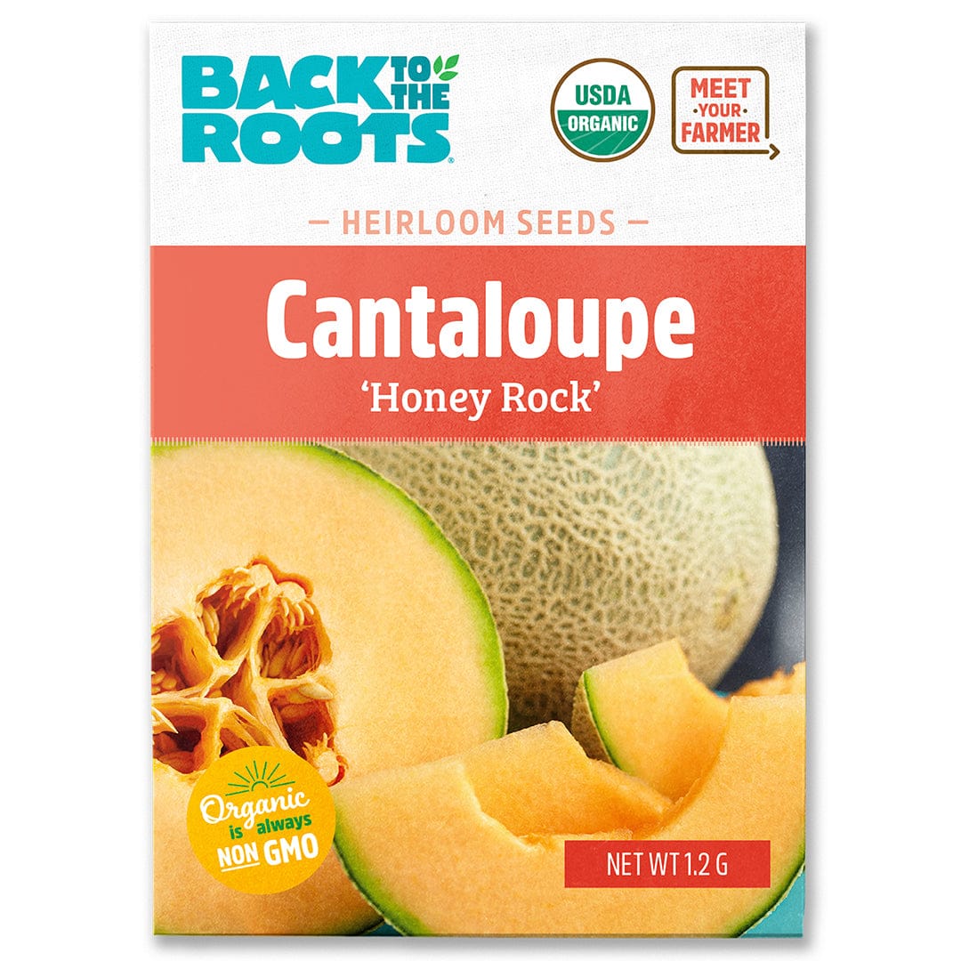 Organic Cantaloupe Seeds — 'Honey Rock'