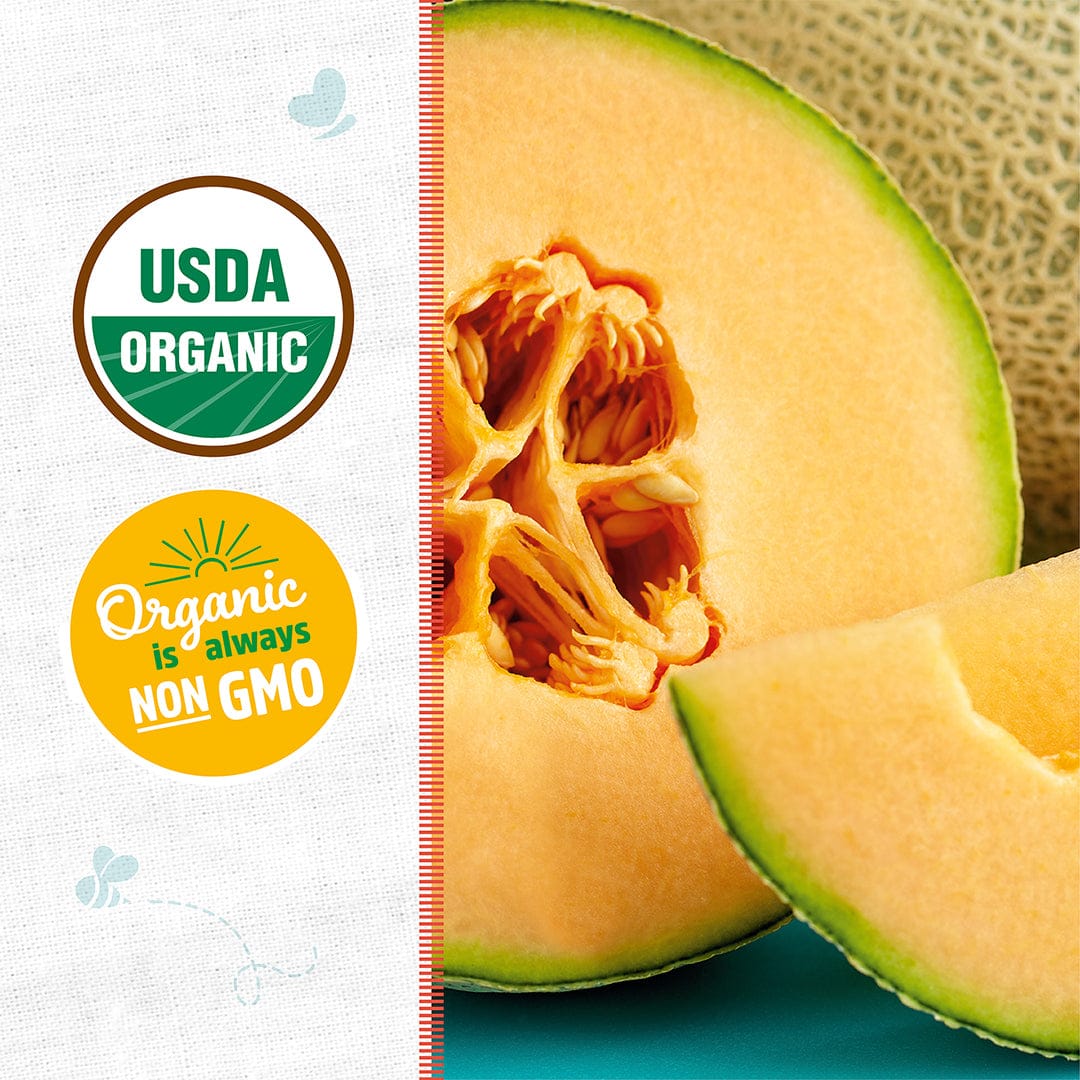 Organic Cantaloupe Seeds — 'Honey Rock' - Image 2