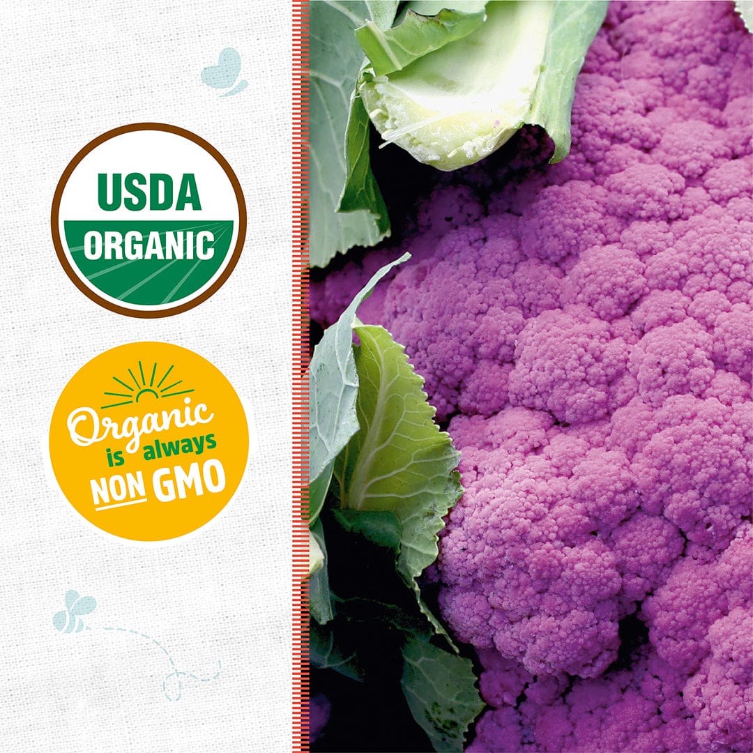 Organic Cauliflower Seeds — 'Purple of Sicily' - Image 2