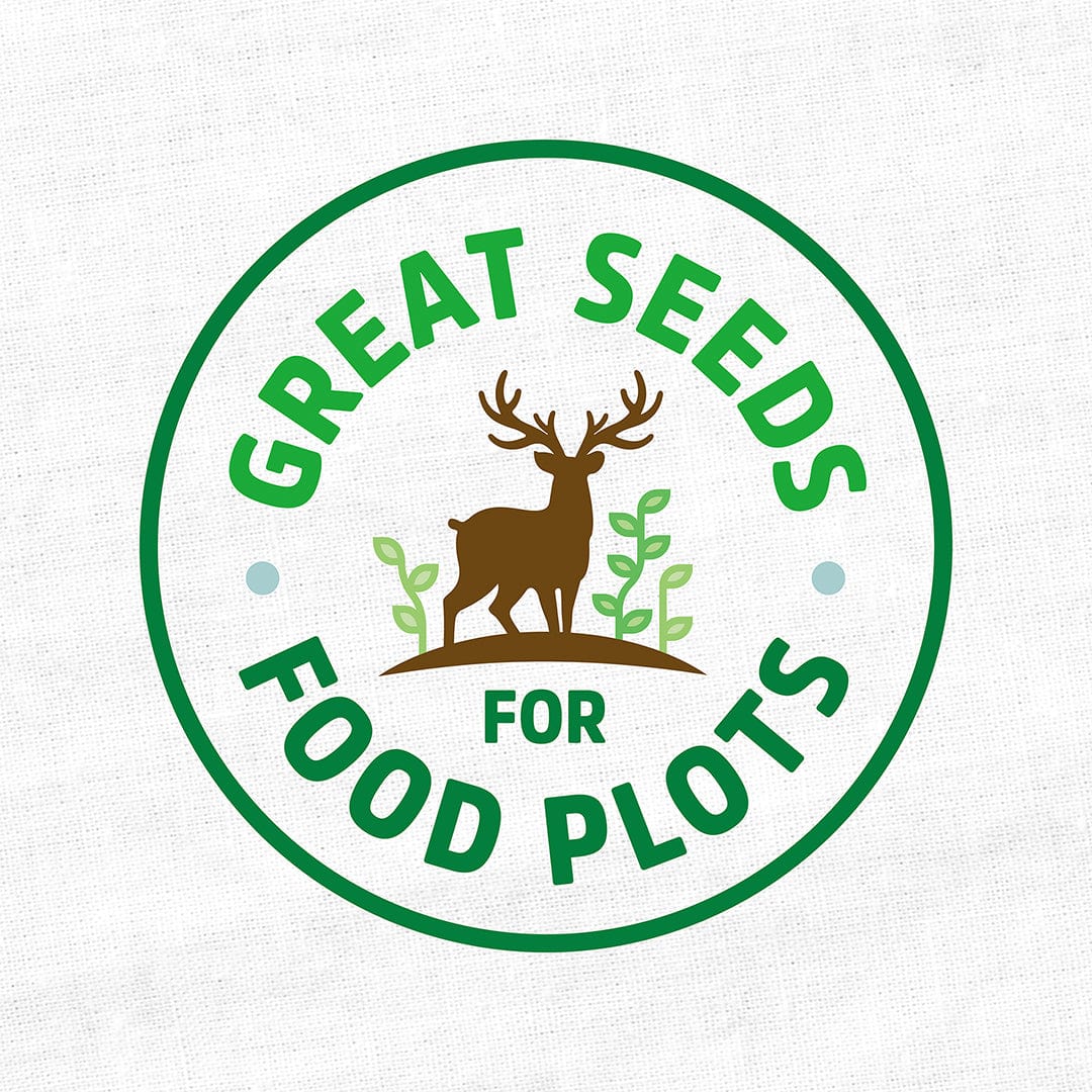 Organic Crimson Clover Cover Crop Seeds - Image 5