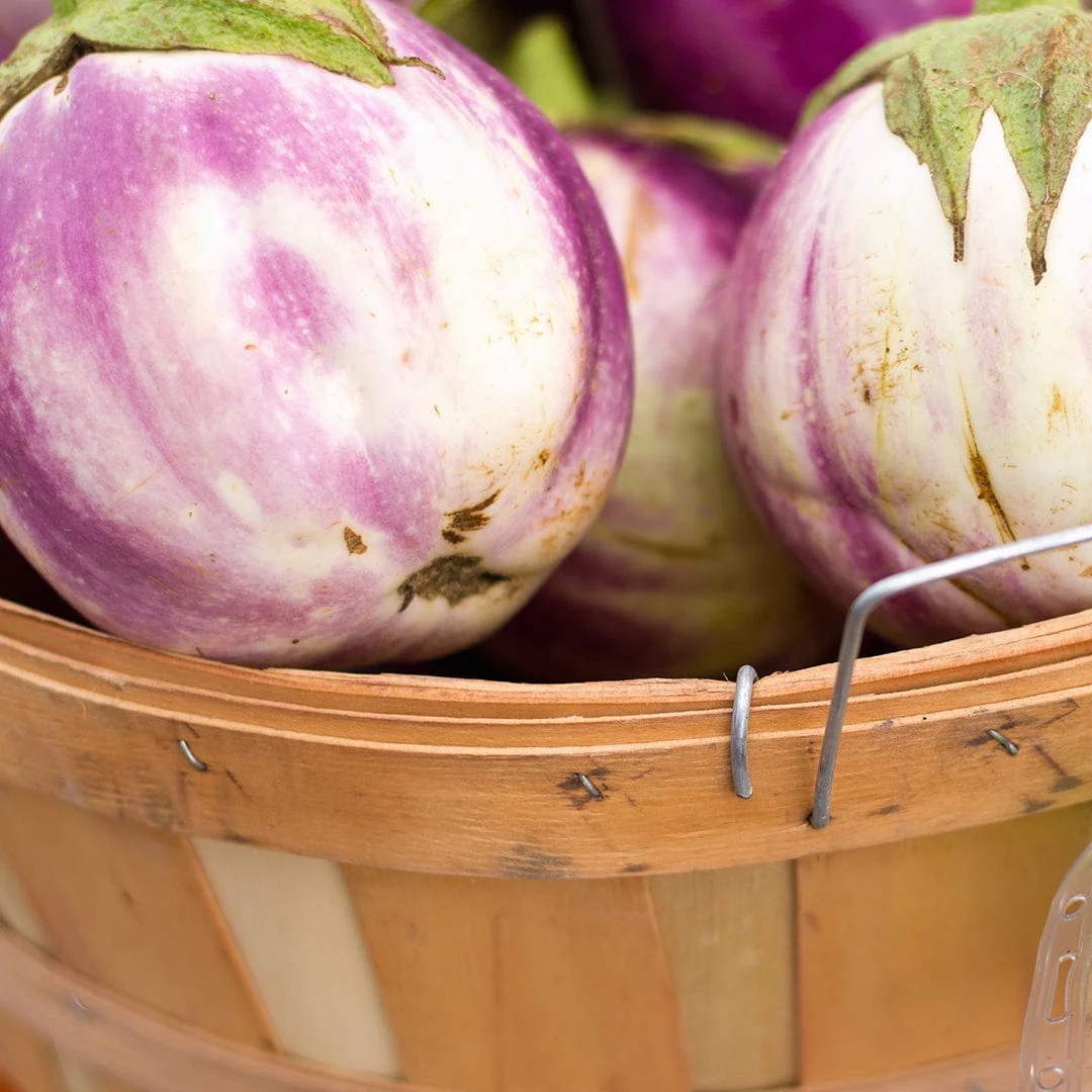 Organic Eggplant Seeds — 'Rosa Bianca' - Image 6