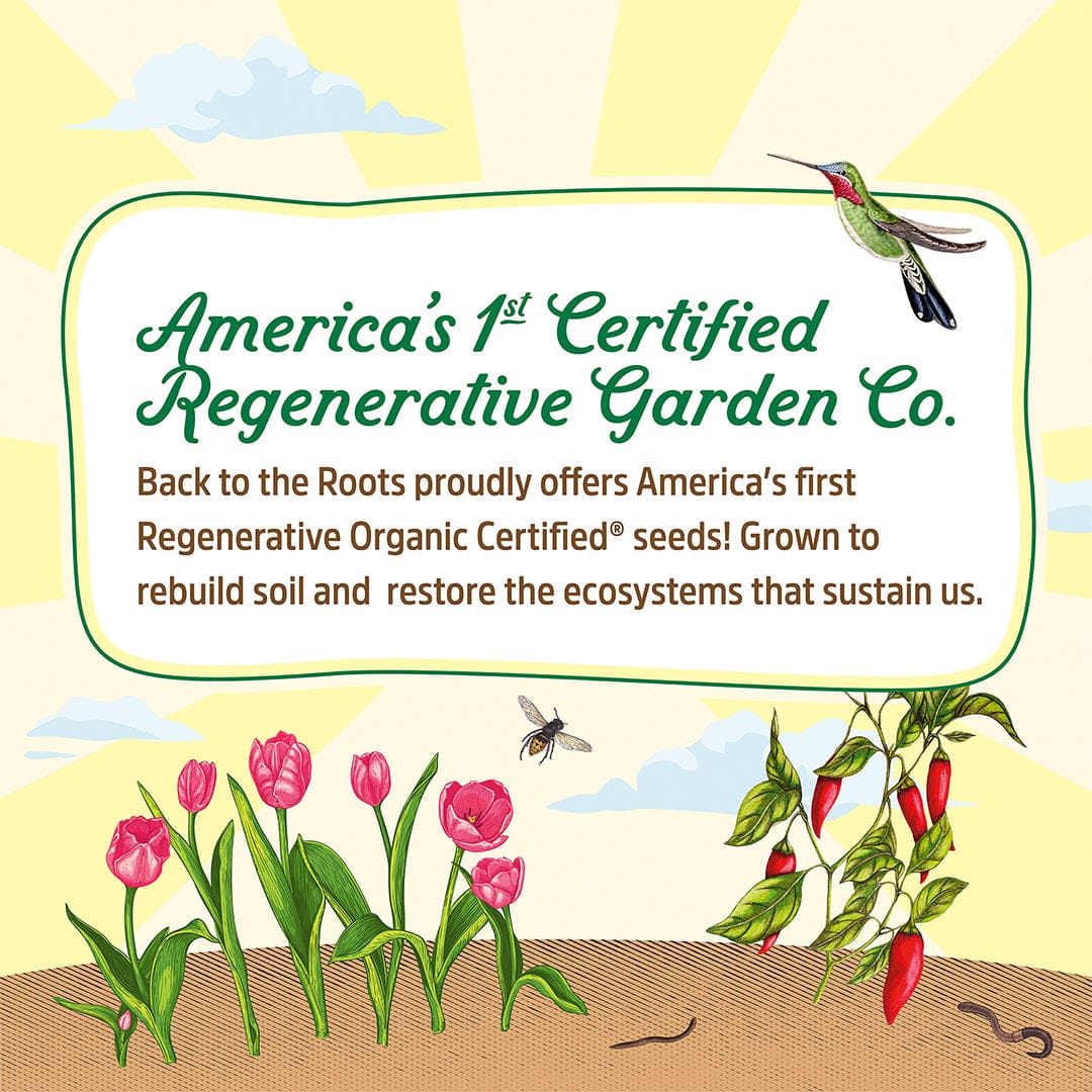 Regenerative Organic Certified® Yarrow Seeds - Image 3