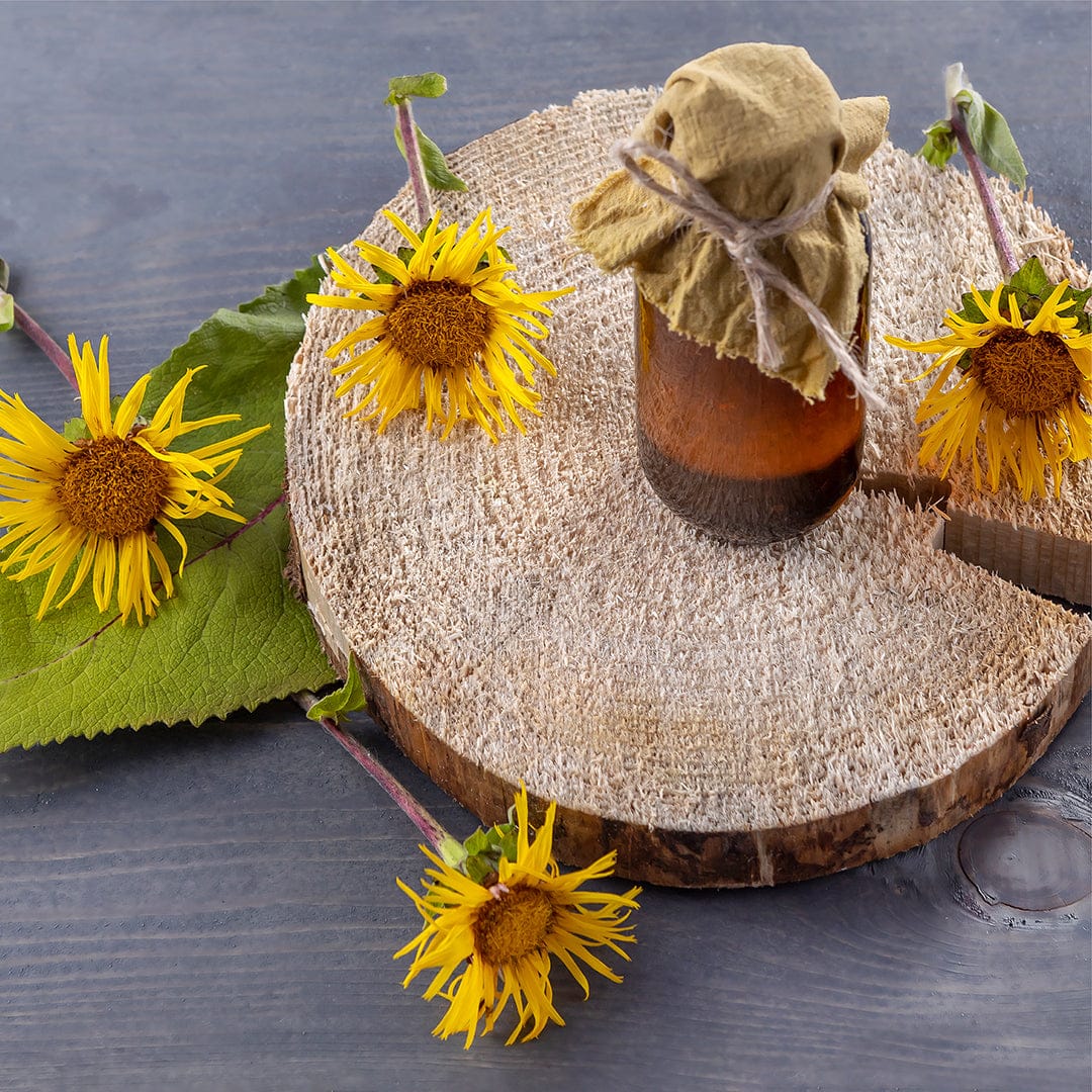 Regenerative Organic Certified® Elecampane Seeds - Image 8