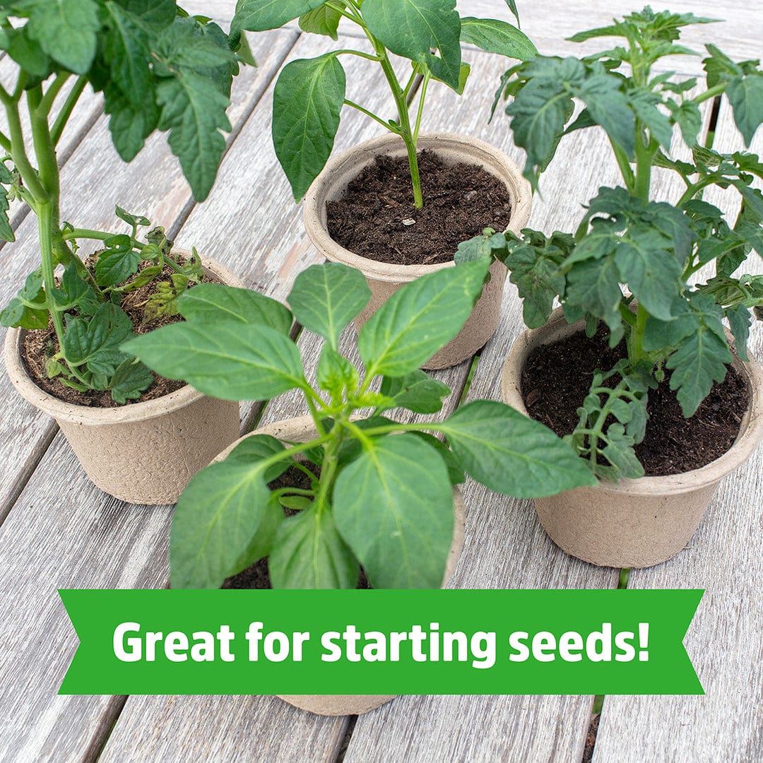 Organic Expanding Seed Starting Soil (8 QT) - Image 4