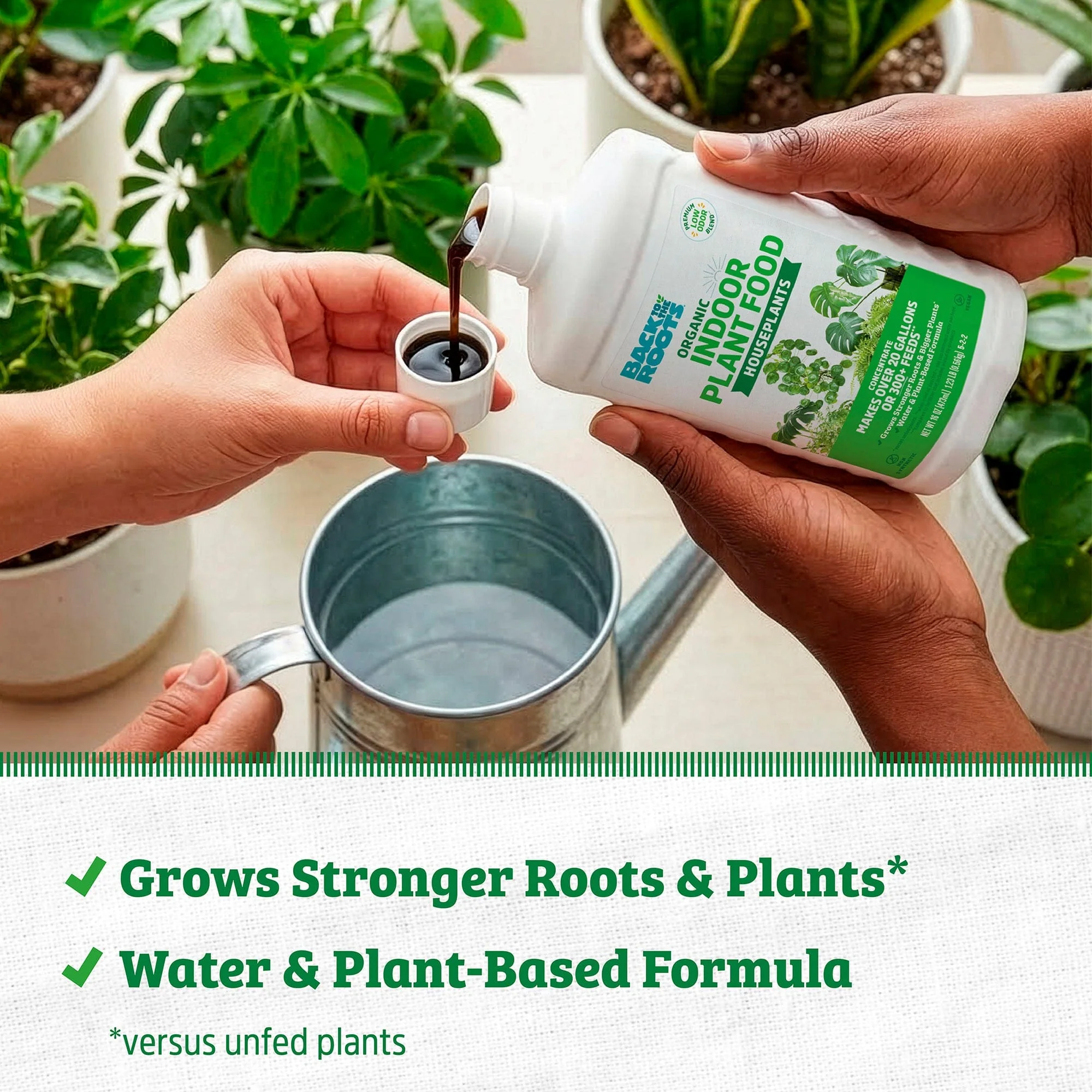 Organic Indoor Houseplant Plant Food - Image 3
