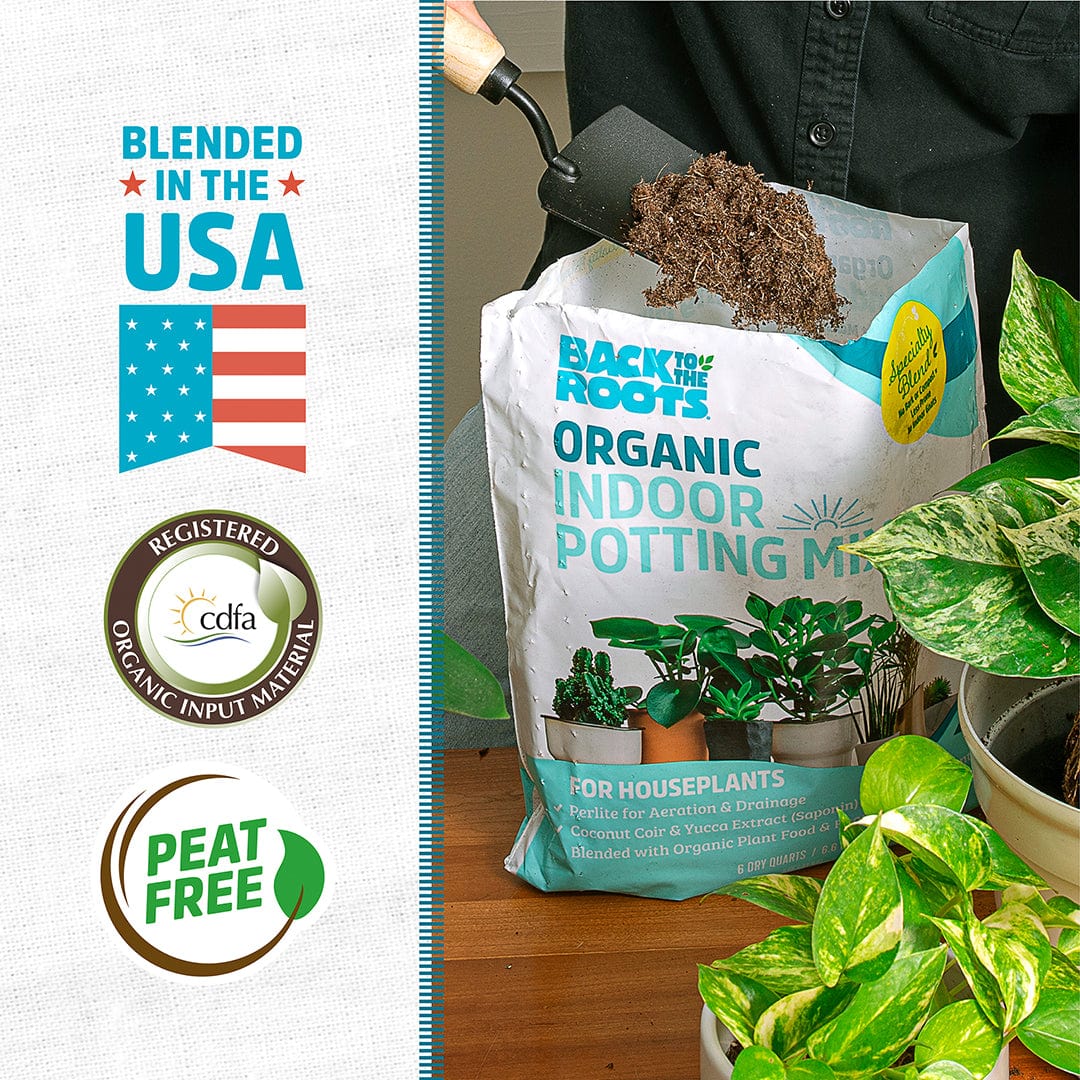 Organic Indoor Potting Mix Specialty Blend (6 QT) - Image 2