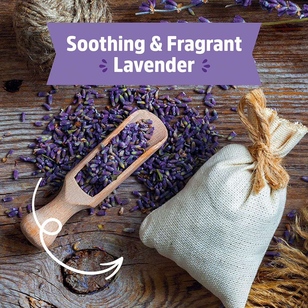 Organic Lavender Windowsill Planter 💜 - Image 7