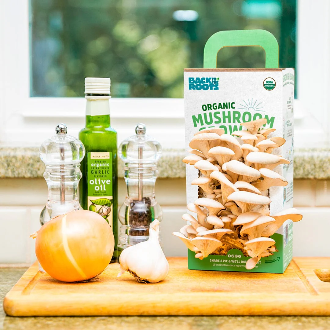 Organic Mushroom Grow Kit, 2-Pack - Image 10
