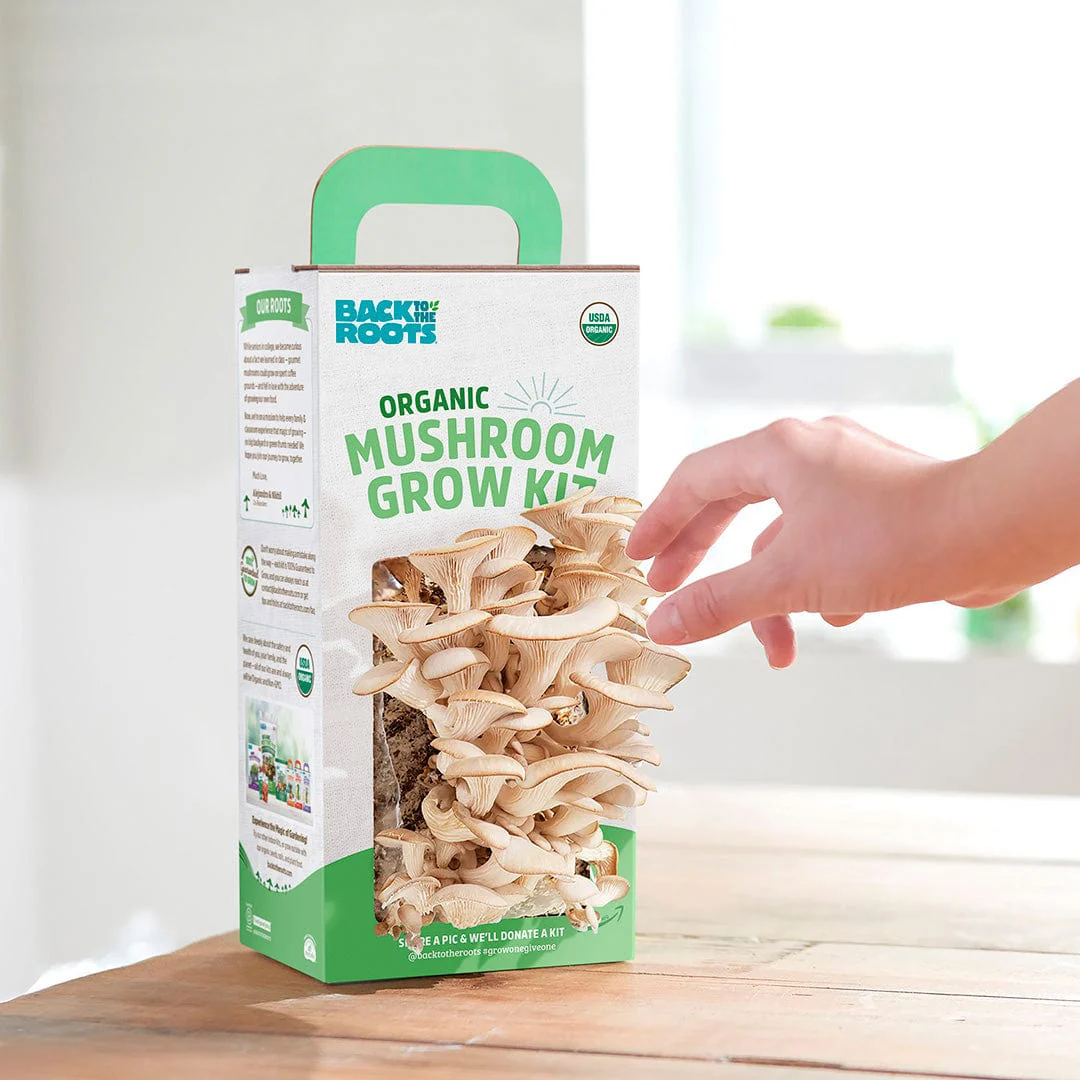 Organic Mushroom Grow Kit, 2-Pack - Image 12