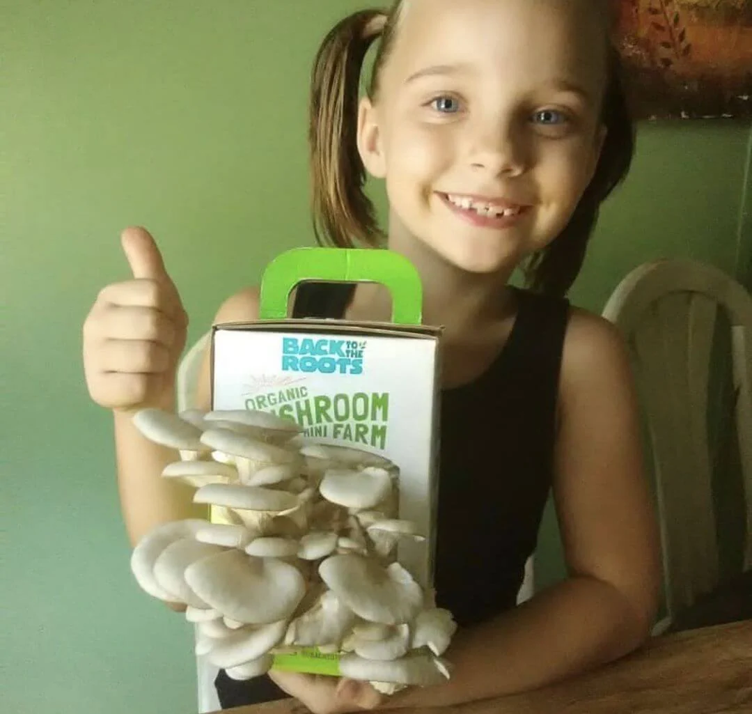 Organic Mushroom Grow Kit Gifting Bundle 🎁, Value 3-Pack - Image 3