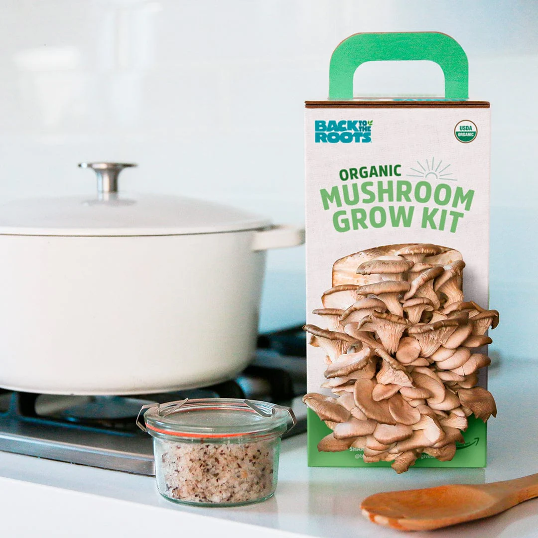 Organic Mushroom Grow Kit Gifting Bundle 🎁, Value 3-Pack - Image 7