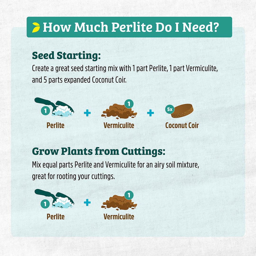 Organic Perlite - Premium Horticultural Grade (8 Quart) - Image 5