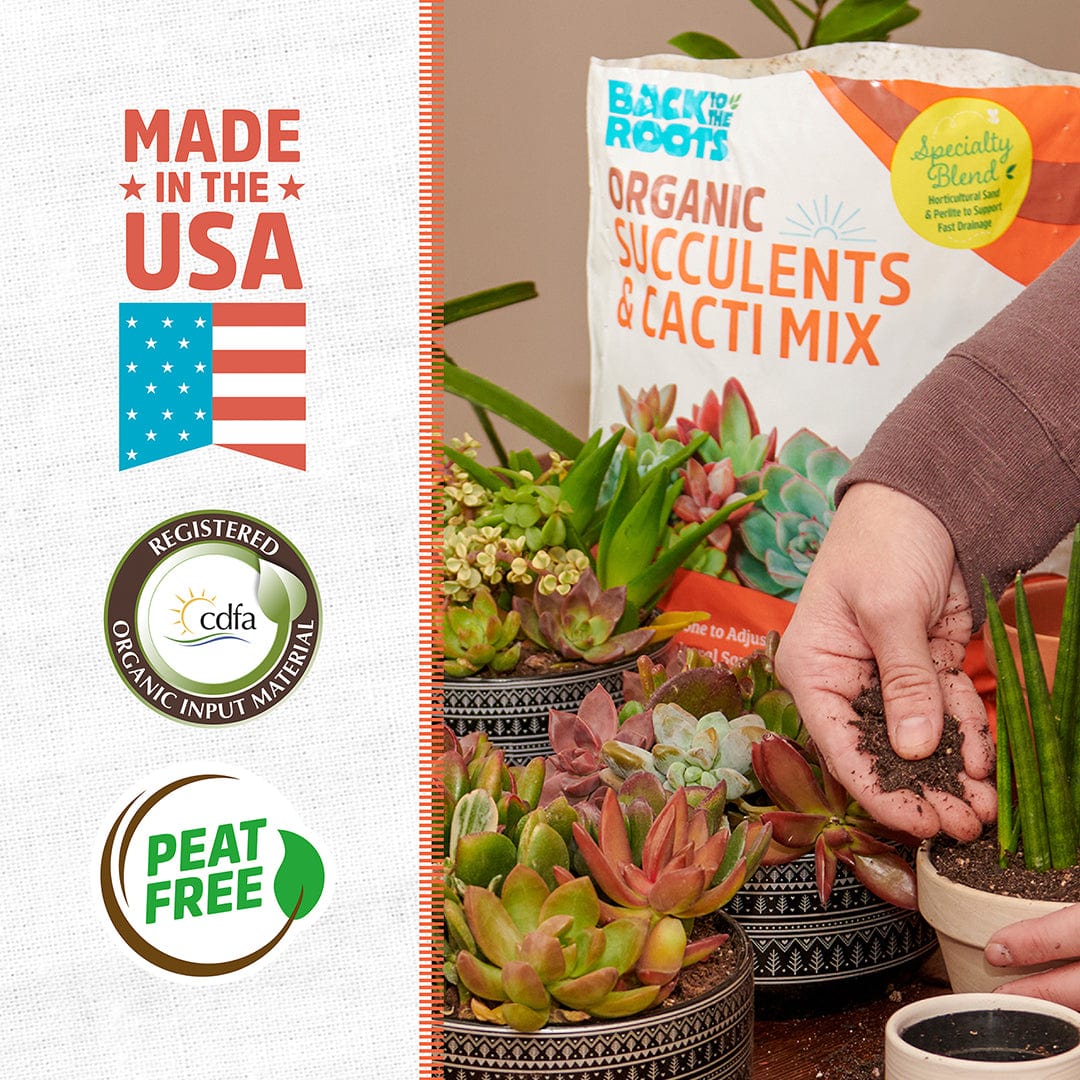 Organic Succulents & Cacti Mix Specialty Blend (6 QT) - Image 2