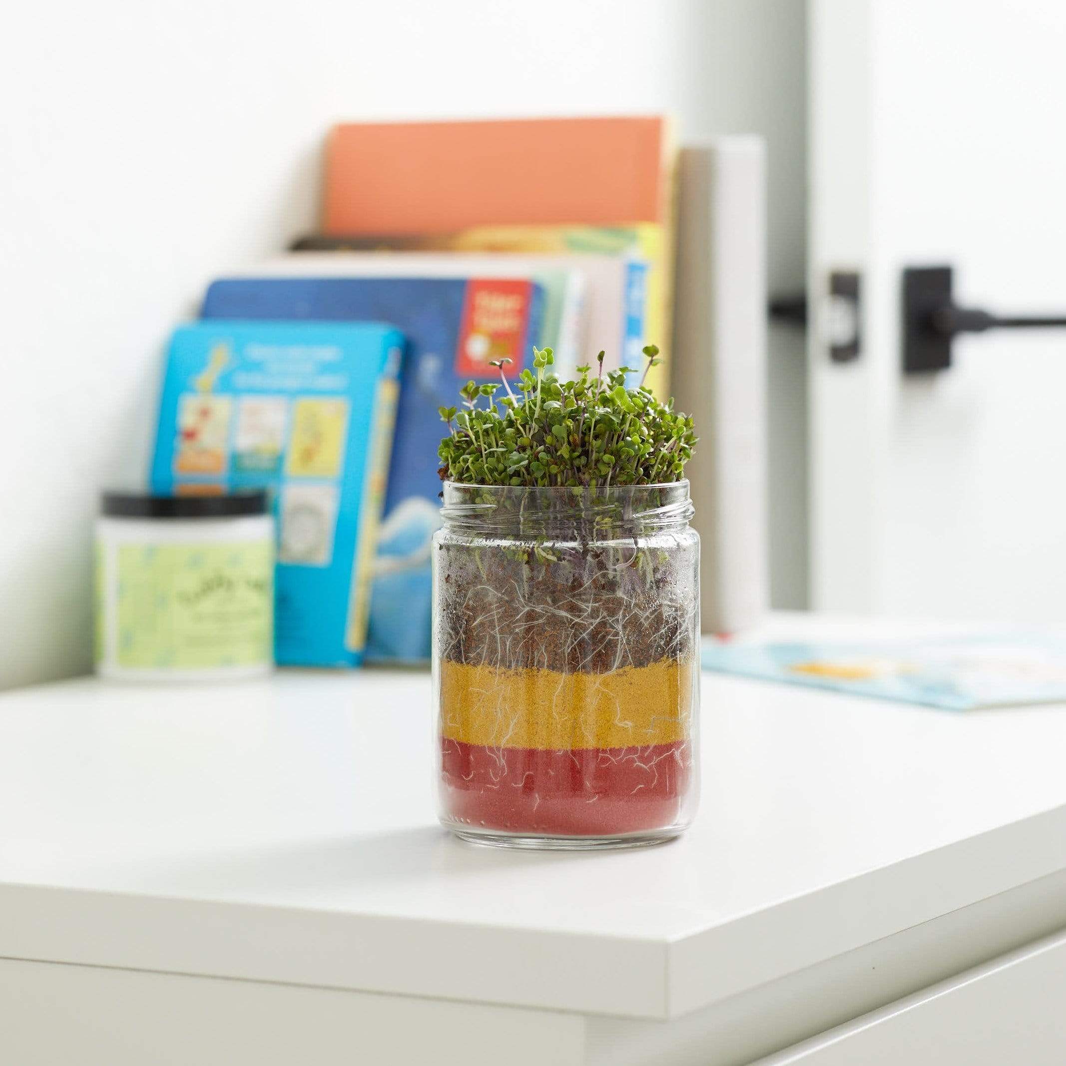 Organic Terrarium Kids Grow Kit - Image 3