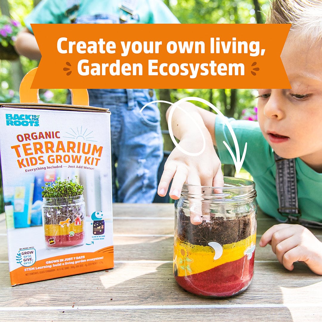 Organic Terrarium Kids Grow Kit 2pack bundle - Image 8