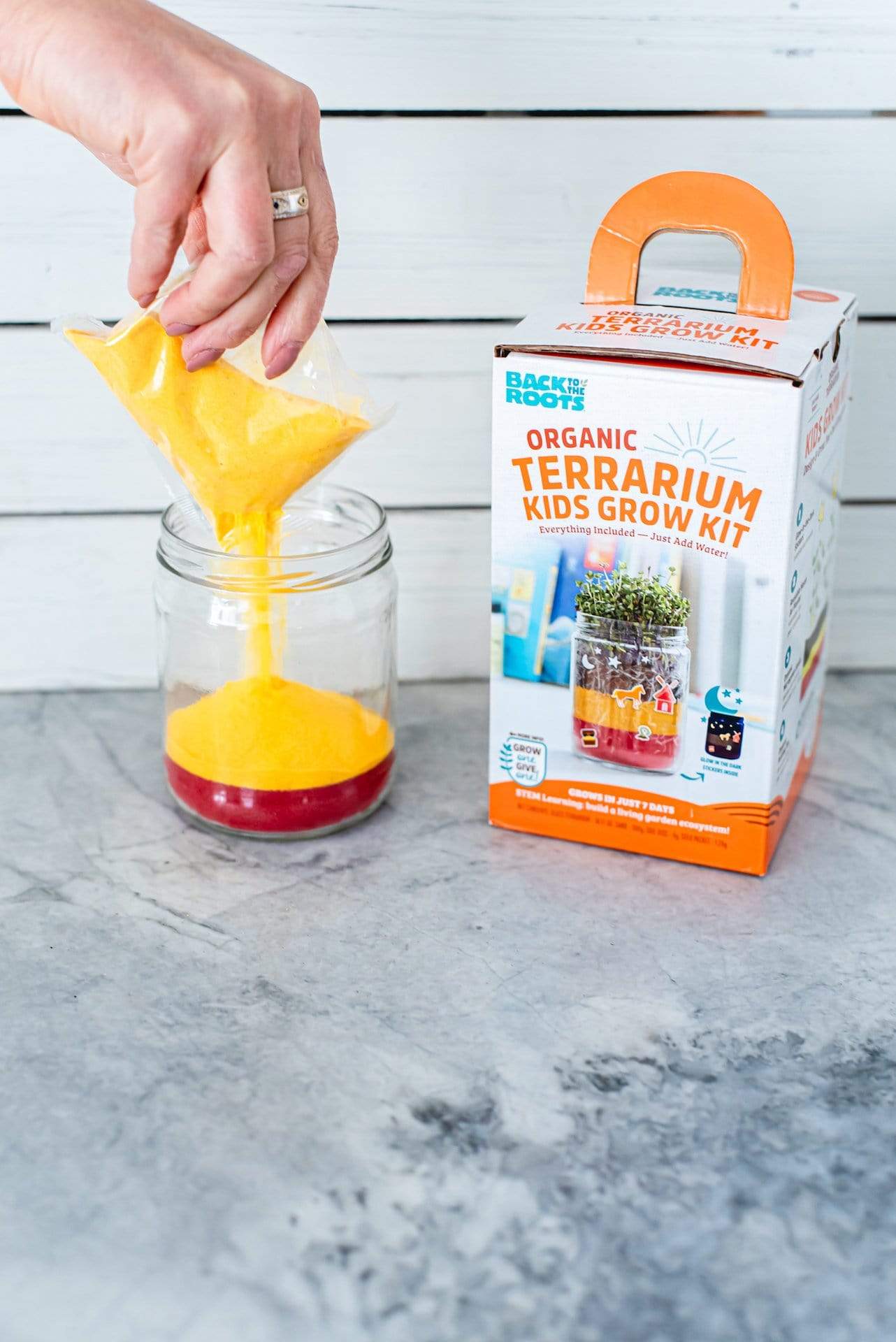 Organic Terrarium Kids Grow Kit - Image 7