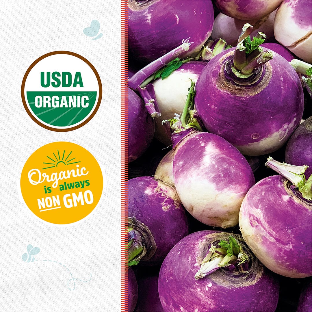 Organic Turnip Seeds — 'Purple Top White Globe' - Image 2