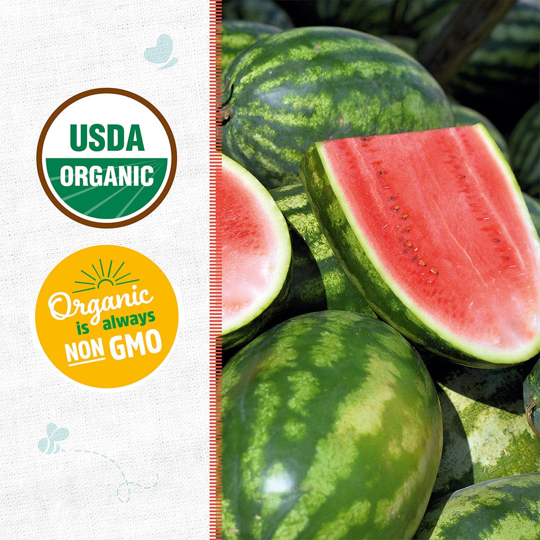 Organic Watermelon Seeds — 'Congo' - Image 2
