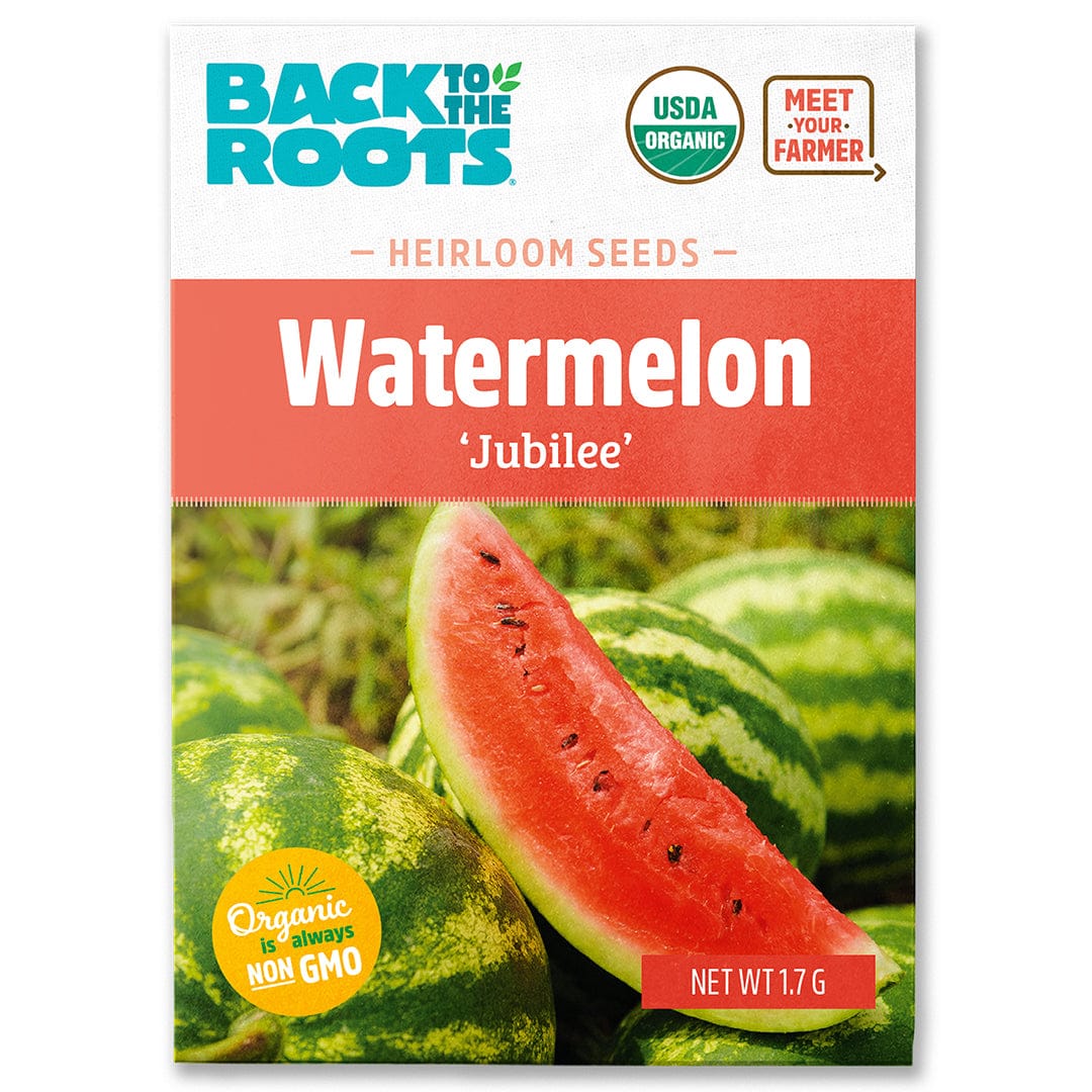 Organic Watermelon Seeds — 'Jubilee'