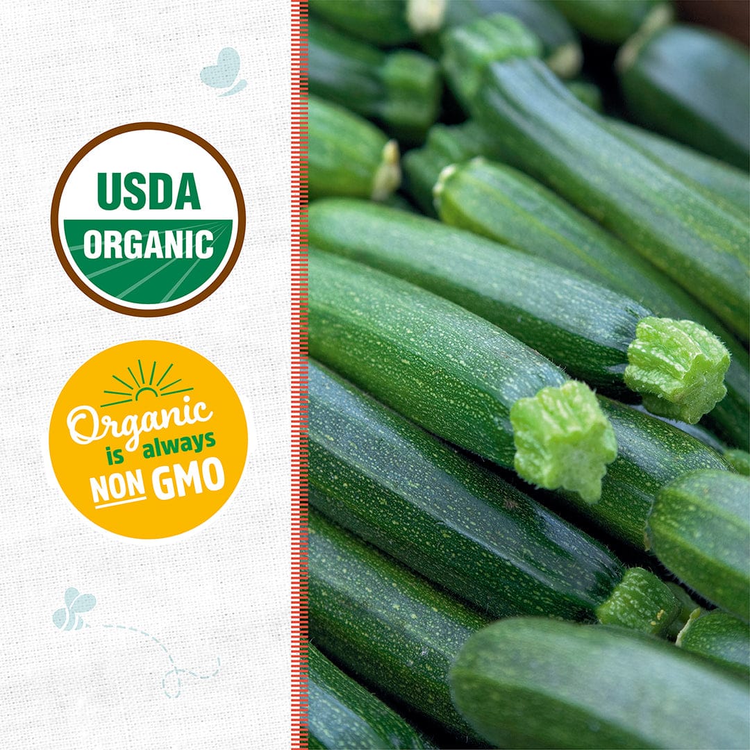 Organic Zucchini Seeds — 'Fordhook' • Summer Squash - Image 2