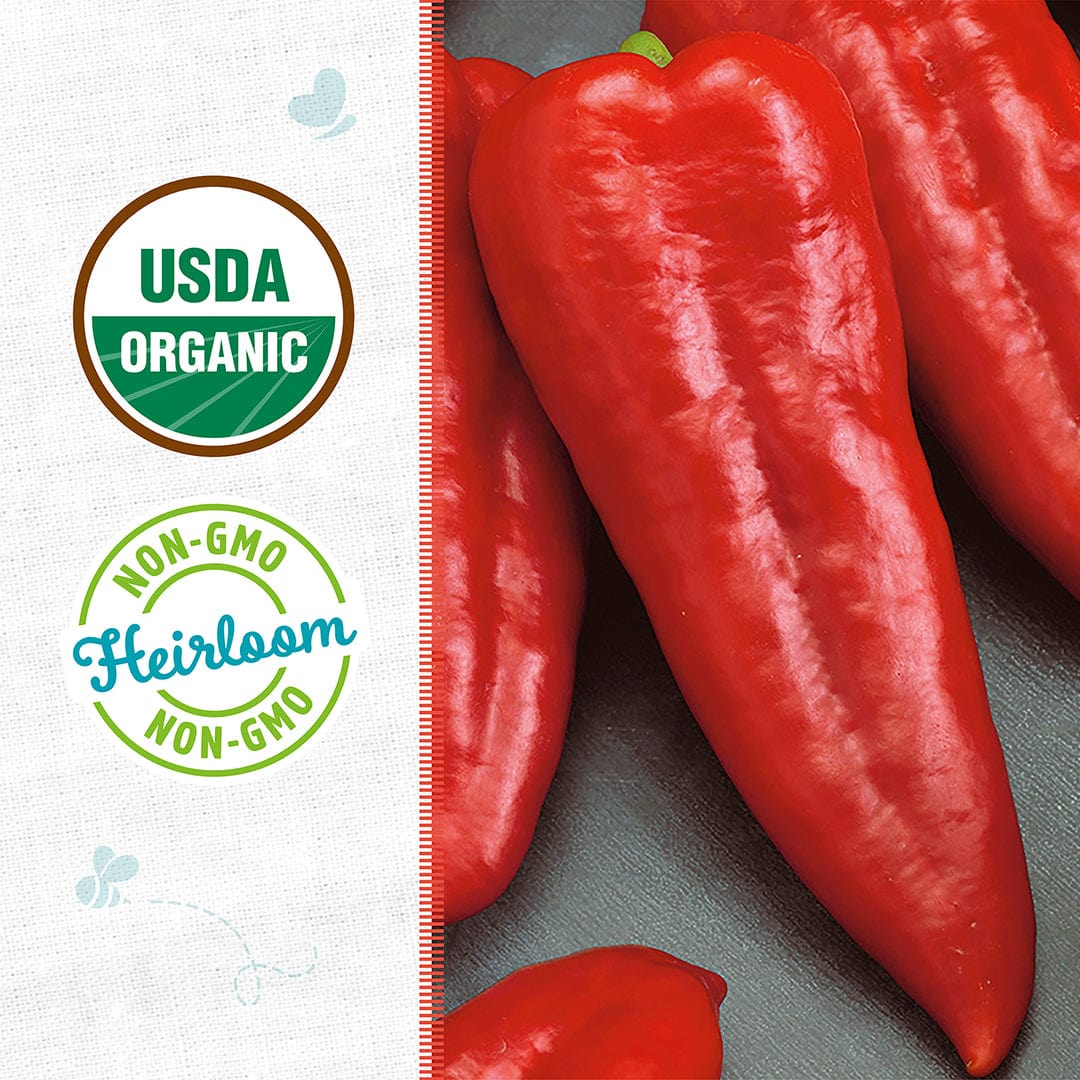 Organic Pepper Seeds — 'Sweet Red Marconi' - Image 2
