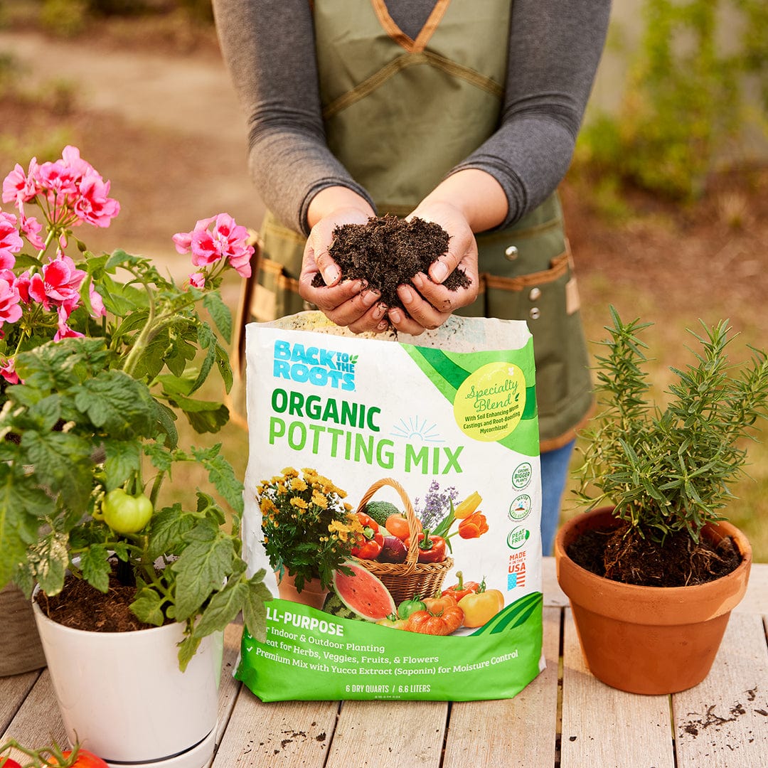 Organic All-Purpose, Peat-Free Premium Potting Mix (6 QT) - Image 4