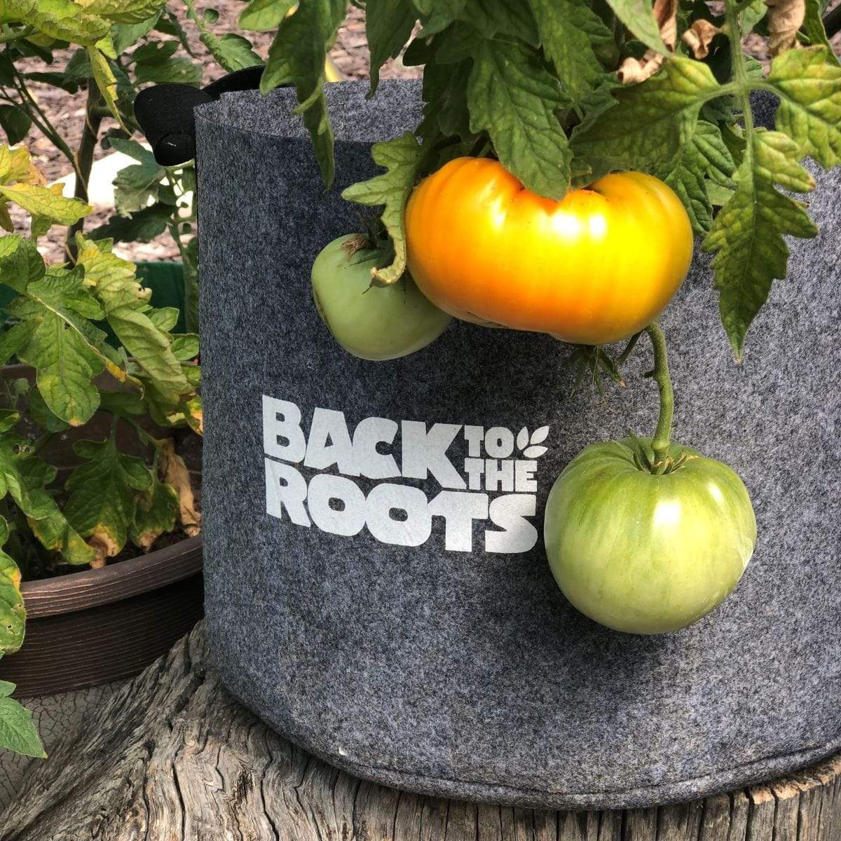 Self-Watering Fabric Garden Pot - Image 9