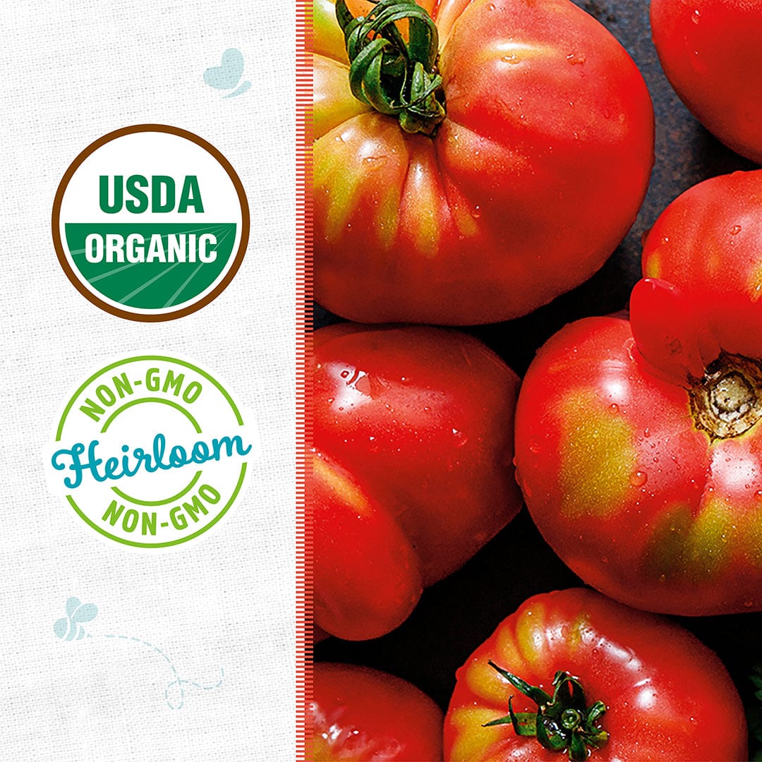 Organic Tomato Seeds — 'Brandywine Pink' - Image 2