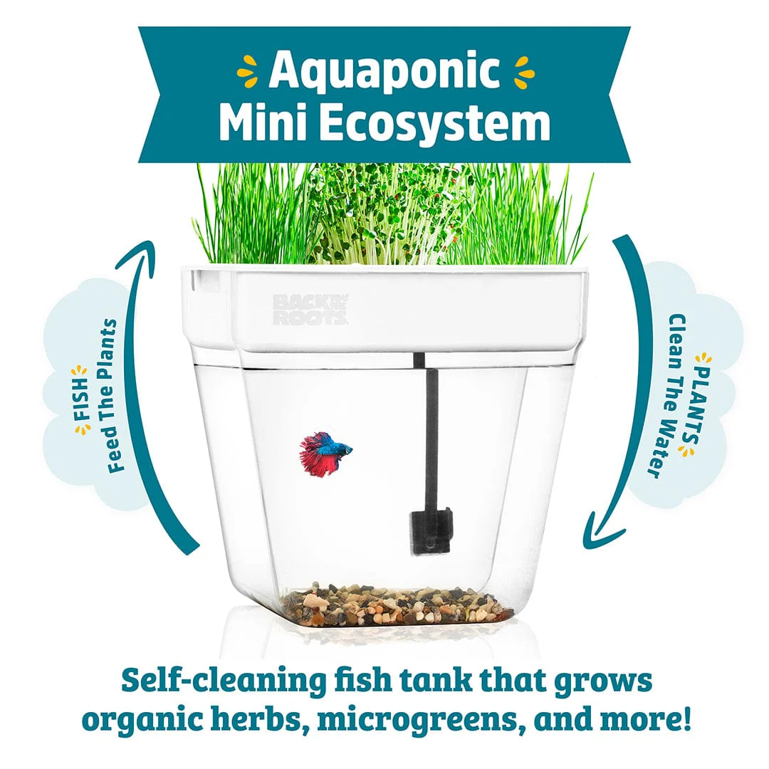 Water Garden Duo: Hydroponics / Aquaponics Ecosystem - Image 9