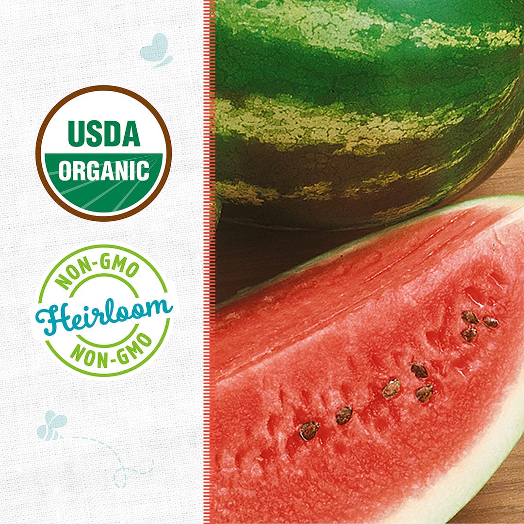 Organic Watermelon Seeds — 'Crimson Sweet' - Image 2