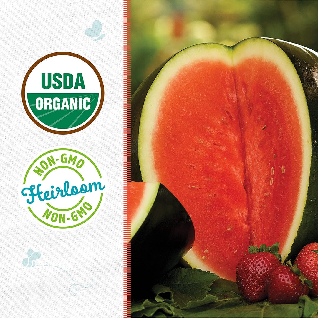 Organic Watermelon Seeds — 'Sugar Baby' - Image 2